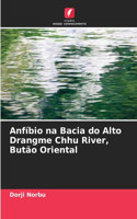 Anfíbio na Bacia do Alto Drangme Chhu River, Butão Oriental