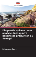 Diagnostic apicole: une analyse dans quatre bassins de production au Sénégal