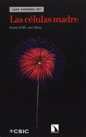 Las celulas madre