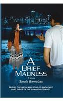 A Brief Madness : A Novel Sequel to Sakshi & Song of Innocence Part Three of the Samarth Trilogy