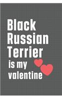 Black Russian Terrier is my valentine: For Black Russian Terrier Dog Fans