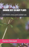 Growing Best Culinary Plants