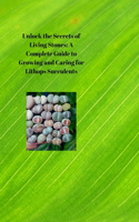 Unlock the Secrets of Living Stones