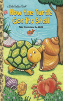 How the Turtle Got Its Shell: Tales from Around the World