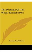 Proteins Of The Wheat Kernel (1907)