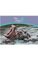 Hippo