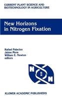 New Horizons in Nitrogen Fixation