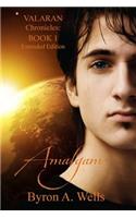 Amalgam, The Valaran Chronicles Book 1