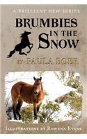 Brumbies in the Snow