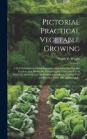 Pictorial Practical Vegetable Growing; a Practical Manual Giving Directions for Laying out Kitchen Gardens and Allotments, Describing the Value and use of Manures, Advising as to the Destruction of Pests, Dealing With the Principal Tools and Applia