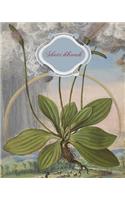 Sketchbook: Vintage Botanical Cover Sketchbook, 8 x 10, 120 Blank Unlined Pages, Artist Sketchbook For Drawing, Doodling, Sketching, Designing