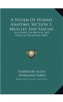 A System Of Human Anatomy, Section 3, Muscles And Fasciae