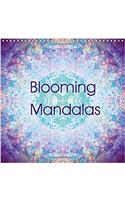 Blooming Mandalas 2017
