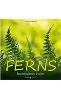Ferns Fascinating Forest Dwellers 2017