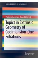 Topics in Extrinsic Geometry of Codimension-One Foliations
