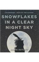 Snowflakes in a Clear Night Sky