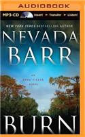 Burn: (Anna Pigeon Mysteries)