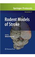 Rodent Models of Stroke