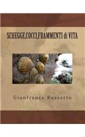SHEGGE, COCCI, FRAMMENTI di VITA: (Italian)