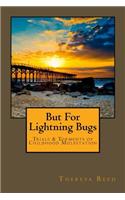 But for Lightning Bugs