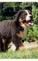 Bernese Mountain Dog October Notebook Bernese Mountain Dog Record, Log, Diary, Special Memories, To Do List, Academic Notepad, Scrapbook & More