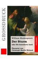 Der Sturm (Großdruck)