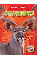 Antelopes