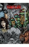 Teenage Mutant Ninja Turtles: The Ultimate Collection, Volume 1