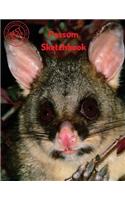 Possum Sketchbook: (Sketchbook for Teens)