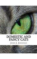 Domestic and Fancy Cats