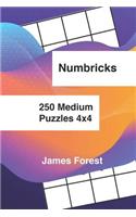 250 Numbricks 4x4 medium puzzles: Numbricks puzzle books for adults