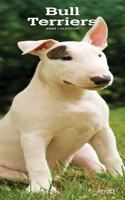 BULL TERRIERS 2020 SLIM CALENDAR