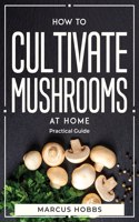 How to Cultivate Mushrooms at Home: Practical Guide