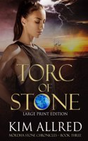 Torc of Stone: Time Travel Adventure Romance LARGE PRINT