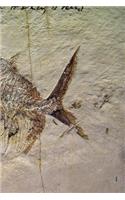 Notebook Fossil Fish
