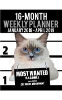 2018-2019 Weekly Planner - Most Wanted Ragdoll: Daily Diary Monthly Yearly Calendar Large 8.5" x 11" Schedule Journal Organizer(16 Cat Planners 2018-2019)