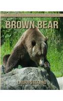 Brown Bear