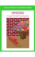 Spring Large Print Adult Coloring Book