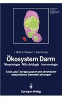 Ökosystem Darm