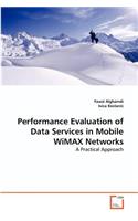Performance Evaluation of Data Services in Mobile WiMAX Networks