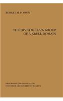 The Divisor Class Group of a Krull Domain