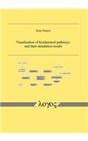 Visualisation of Biochemical Pathways and Their Simulation Results