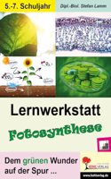 Lernwerkstatt Fotosynthese: Dem grunen Wunder auf der Spur ...