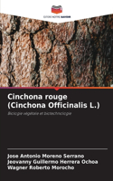 Cinchona rouge (Cinchona Officinalis L.)