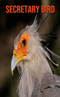 Secretary Bird