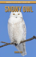 Snowy owl: Amazing Photos about Snowy owl