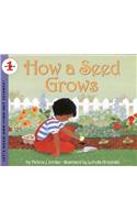 How a Seed Grows