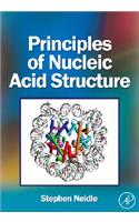 Principles of Nucleic Acid Structure