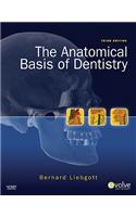 The Anatomical Basis of Dentistry