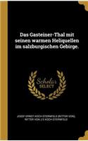 Das Gasteiner-Thal mit seinen warmen Heliquellen im salzburgischen Gebirge.